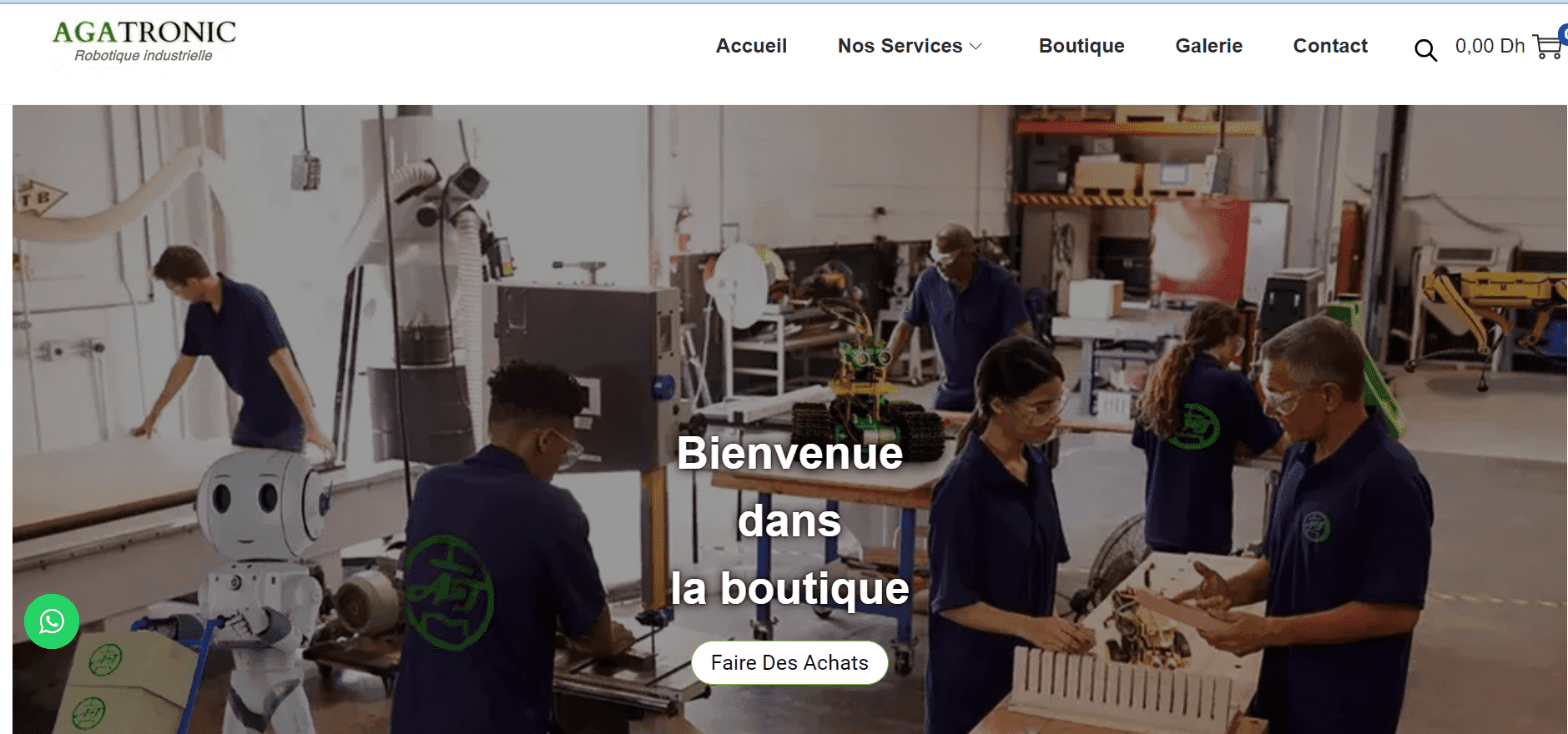 Agatronic E-commerce Platform